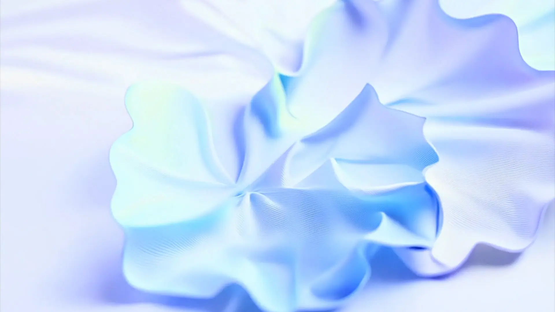 Silk Petals Background for Elegant Logo Animation